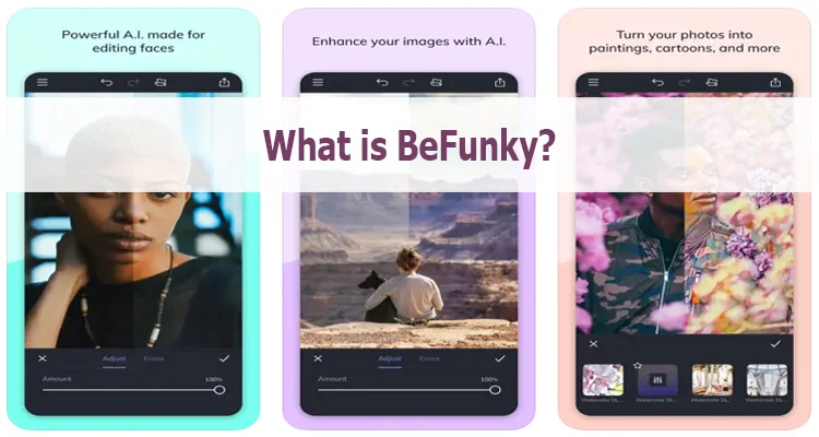 What is BeFunky App